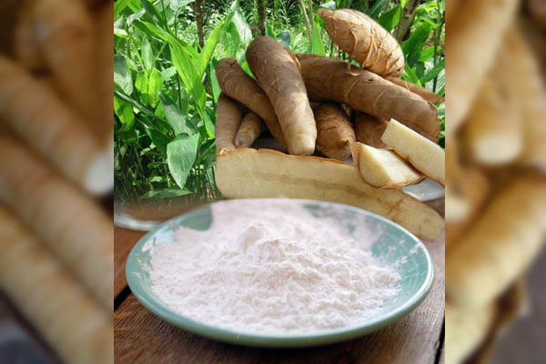 MANFAAT TEPUNG GARUT UNTUK IBU HAMIL
