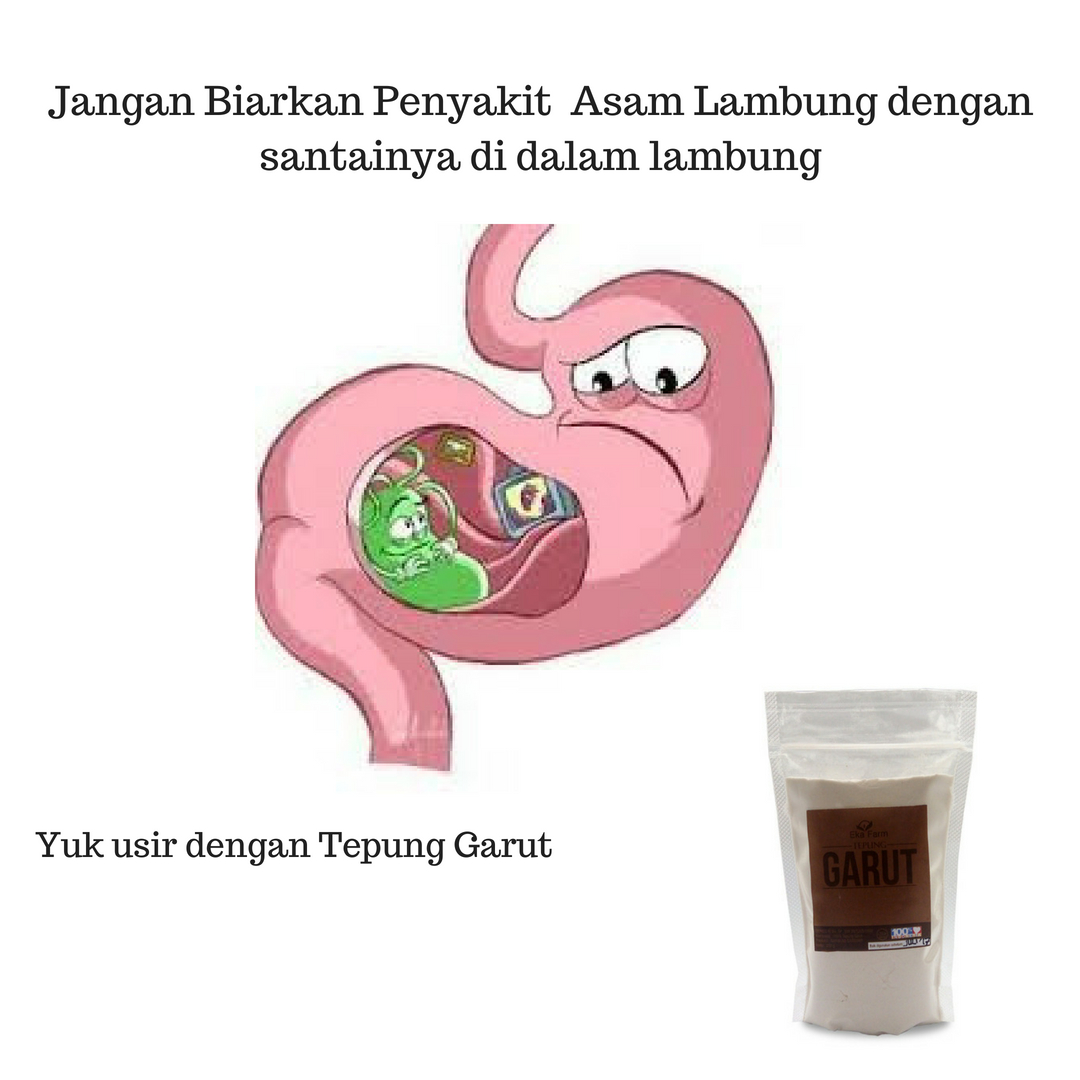 Mosok Tepung Garut Bisa Mengobati Sakit Lambung Saya