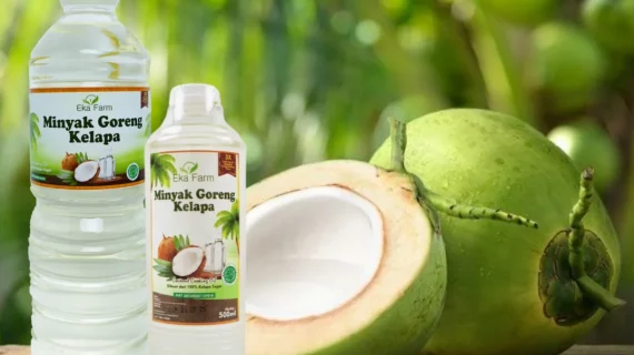 14 Perbedaan Minyak Goreng Kelapa Murni dan Kelapa Sawit
