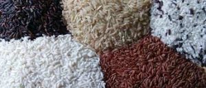 beras organik warna