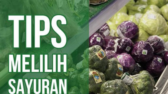 Sebelum Belanja, Cermati Cara Memilih Sayuran Sehat