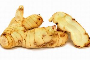 Selain Menjadi Bumbu Masakan, Lengkuas Punyai Manfaat Tersembunyi