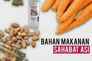5 Bahan Makanan Sahabat ASI