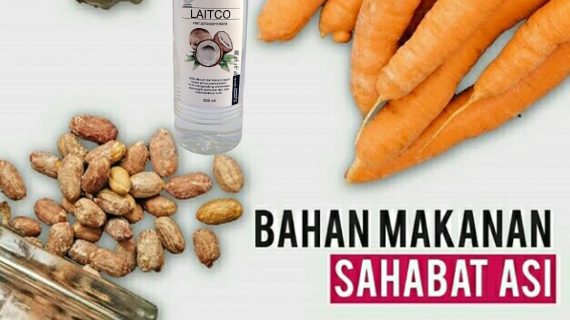 5 Bahan Makanan Sahabat ASI