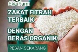Zakat Fitrah (Pengertian, Syarat, Berapa Jumlahnya)