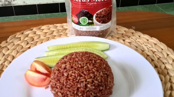 BERAPAKAH PORSI BERAS MERAH UNTUK DIABETES?