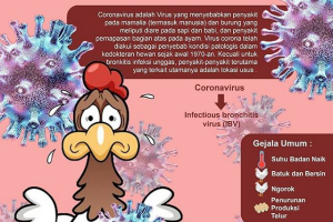 Mengenal Lebih Dekat Virus Corona
