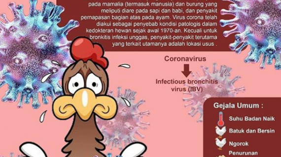 Mengenal Lebih Dekat Virus Corona