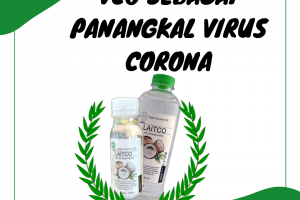 VCO SEBAGAI PANANGKAL VIRUS CORONA