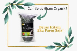 CARI BERAS HITAM ORGANIK? BERAS HITAM EKA FARM SAJA
