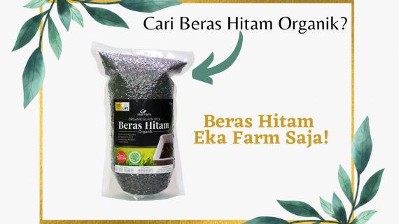 CARI BERAS HITAM ORGANIK? BERAS HITAM EKA FARM SAJA