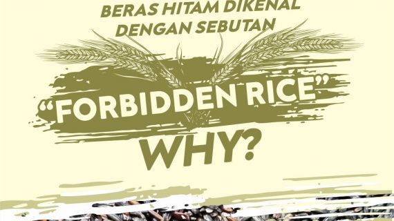 ALASAN BERAS HITAM DIJULUKI ‘FORBIDDEN RICE’