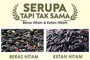 BERAS HITAM VS KETAN HITAM, SIMAK PERBEDAANNYA
