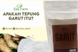 YUK, KENALAN DENGAN TEPUNG GARUT