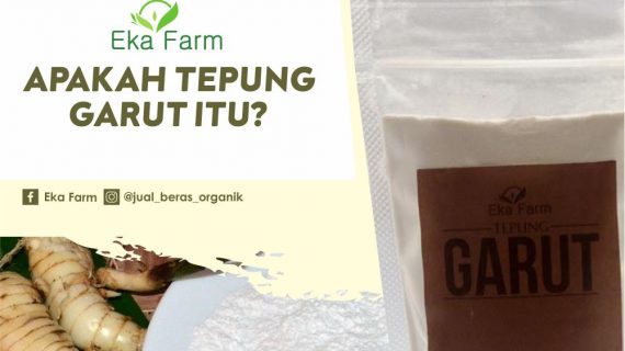 YUK, KENALAN DENGAN TEPUNG GARUT