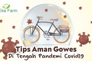 8 TIPS AMAN GOWES SAAT PANDEMI COVID-19