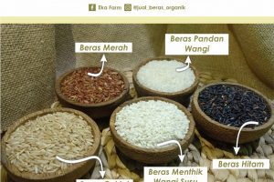 MENGAPA HARUS BERAS ORGANIK? SIMAK 7 ALASANNYA