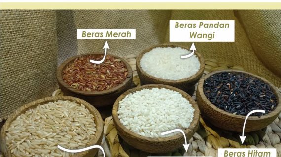 MENGAPA HARUS BERAS ORGANIK? SIMAK 7 ALASANNYA