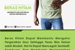 TAHUKAH ANDA, BERAS HITAM DAPAT MEMBANTU SISTEM PENCERNAAN?
