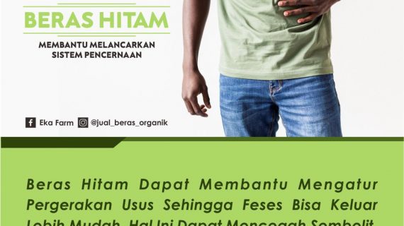 TAHUKAH ANDA, BERAS HITAM DAPAT MEMBANTU SISTEM PENCERNAAN?