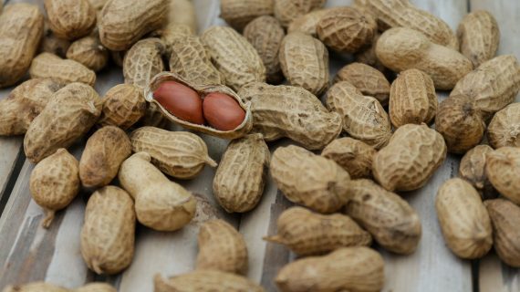 RAHASIA CAMILAN SEHAT, KAYA NUTRISI: KACANG TANAH