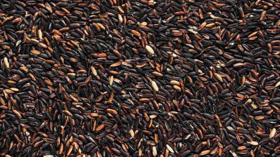 GANTI BERAS PUTIH DENGAN BERAS HITAM UNTUK MELAWAN KOLESTEROL JAHAT