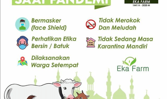 PEMOTONGAN HEWAN KURBAN DI MASA PANDEMI COVID-19!!!. BAGAIMANA SIH PROSEDURNYA?