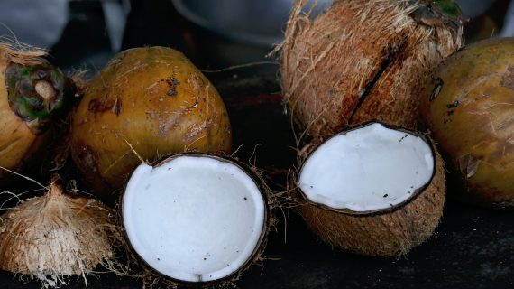 VCO: SOLUSI ALAMI UNTUK BULU MATA LEBIH LENTIK DAN TEBAL