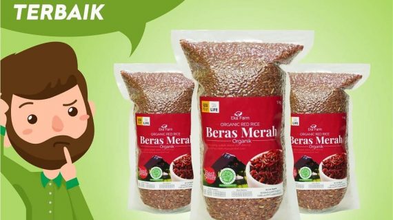 TIPS CARA MEMILIH BERAS MERAH TERBAIK