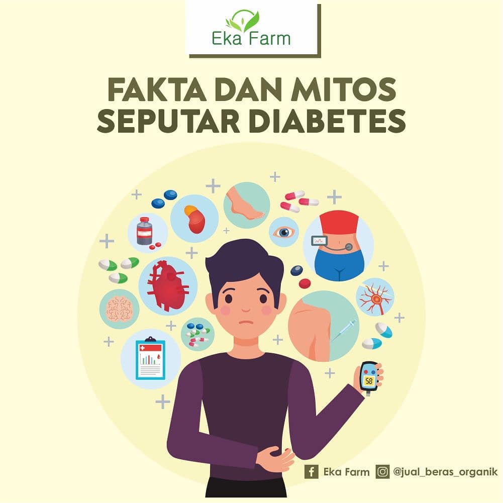 SEPUTAR DIABETES: FAKTA ATAU MITOS? – Jual Beras Organik Terbaik