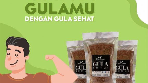 GANTI GULA PASIR ANDA DENGAN GULA SEMUT