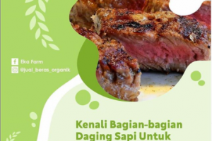 KENALI BAGIAN- BAGIAN DAGING SAPI UNTUK MENGOLAHNYA