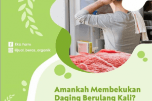 JAWABAN DILEMA MEMBEKUKAN DAGING BERULANG KALI