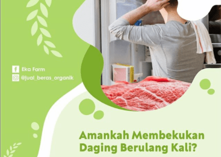 JAWABAN DILEMA MEMBEKUKAN DAGING BERULANG KALI
