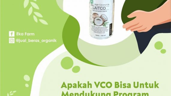APAKAH VCO BISA MENDUKUNG PROGRAM DIET ANDA?