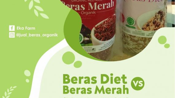 PILIH MANA UNTUK DIET SEHAT, BERAS DIET ATAU BERAS MERAH?