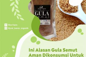 MENGAPA GULA SEMUT AMAN UNTUK DIABETES?