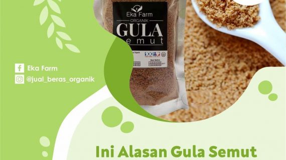 MENGAPA GULA SEMUT AMAN UNTUK DIABETES?