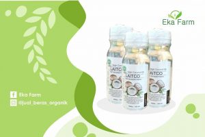  MANFAAT VCO UNTUK KOLESTEROL