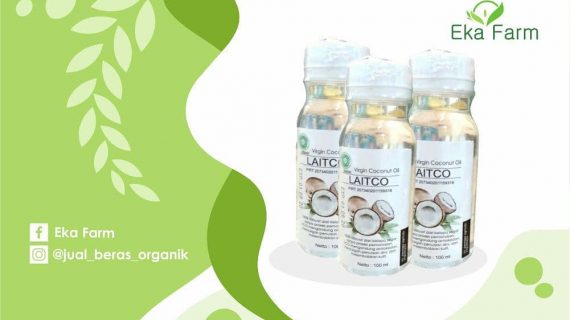 VCO UNTUK MENINGKATKAN IMUNITAS COVID-19 BAGI PARA NAKES