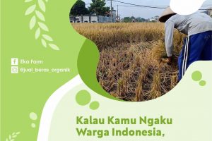 Ngaku Warga Indonesia? Buktikan dengan Beli Beras Hasil Petani Indonesia