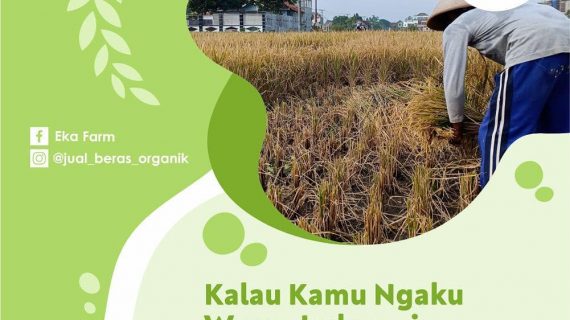 Ngaku Warga Indonesia? Buktikan dengan Beli Beras Hasil Petani Indonesia