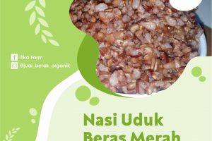 BINGUNG MASAK SARAPAN APA? NASI UDUK BERAS MERAH SAJA