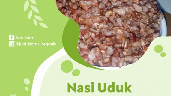 BINGUNG MASAK SARAPAN APA? NASI UDUK BERAS MERAH SAJA
