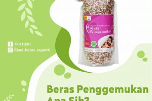 APA ITU BERAS PENGGEMUKAN?