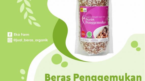 APA ITU BERAS PENGGEMUKAN?