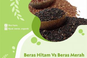 PILIH MANA, BERAS HITAM ATAU BERAS MERAH?