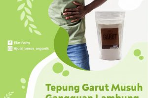 TEPUNG GARUT BANTU ATASI GANGGUAN PENCERNAAN