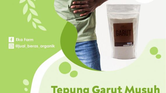 TEPUNG GARUT BANTU ATASI GANGGUAN PENCERNAAN