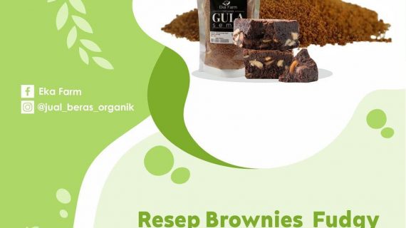 RESEP FUDGY BROWNIES TANPA MIXER DENGAN GULA SEMUT